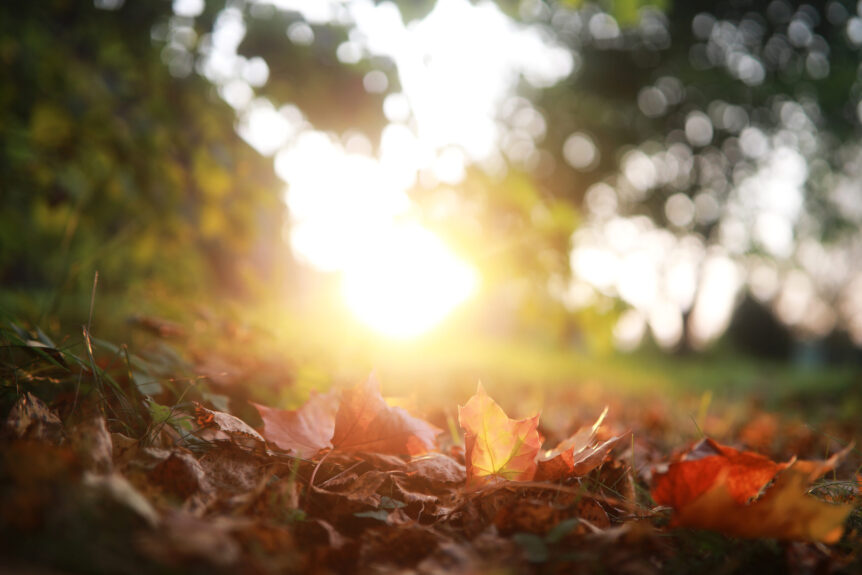 AdobeStock 251123506
